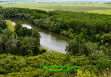 Atlasul  speciilor la nivel internațional și național din flora  și fauna Zonei Ramsar ”Nistrul de Jos” , Republica  Moldova